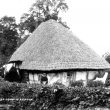 Long Marston.  Beehive Cottage