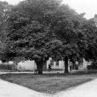 Ladbroke.  Village scene
