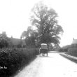 Hatton.  Country lane