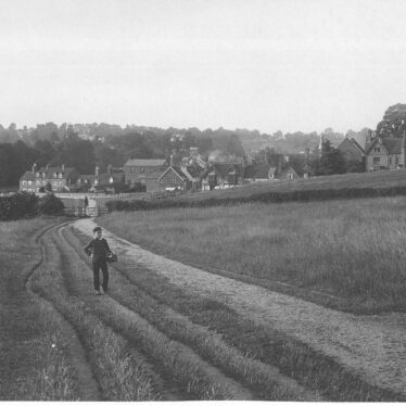 Kenilworth.  Abbey Fields
