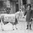 Nuneaton.  Sam Robbins' prize-winning donkey