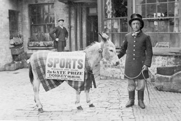 Nuneaton.  Sam Robbins' prize-winning donkey