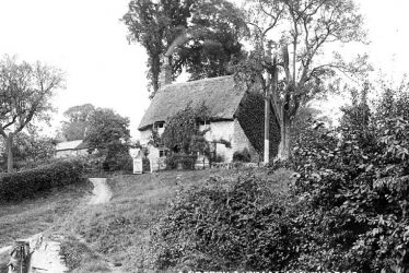 Lighthorne.  Thatched cottage
