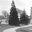 Lillington.  Blackdown Mills