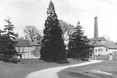 Lillington.  Blackdown Mills
