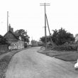 Ufton.  Village with geese in the road