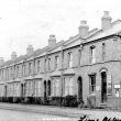 Lillington.  Lime Avenue