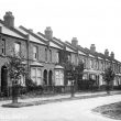 Lillington.  Lime Avenue