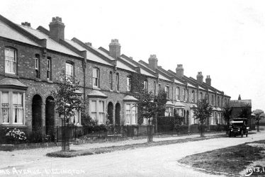 Lillington.  Lime Avenue