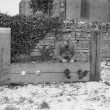 Ufton.  Stocks