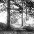 Maxstoke Park.