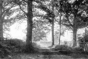 Maxstoke Park.