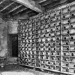 Maxstoke Castle.  Pigeon Loft