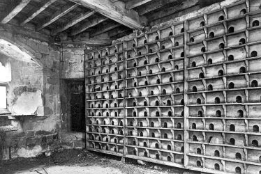 Maxstoke Castle.  Pigeon Loft