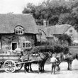 Newton Regis.  "Resting the team"