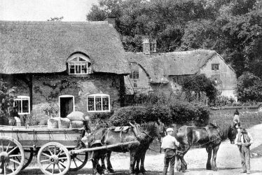 Newton Regis.  "Resting the team"