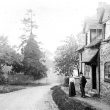 Norton Lindsey.  Vine Cottage
