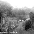 Edgehill.  Upton House, gardens