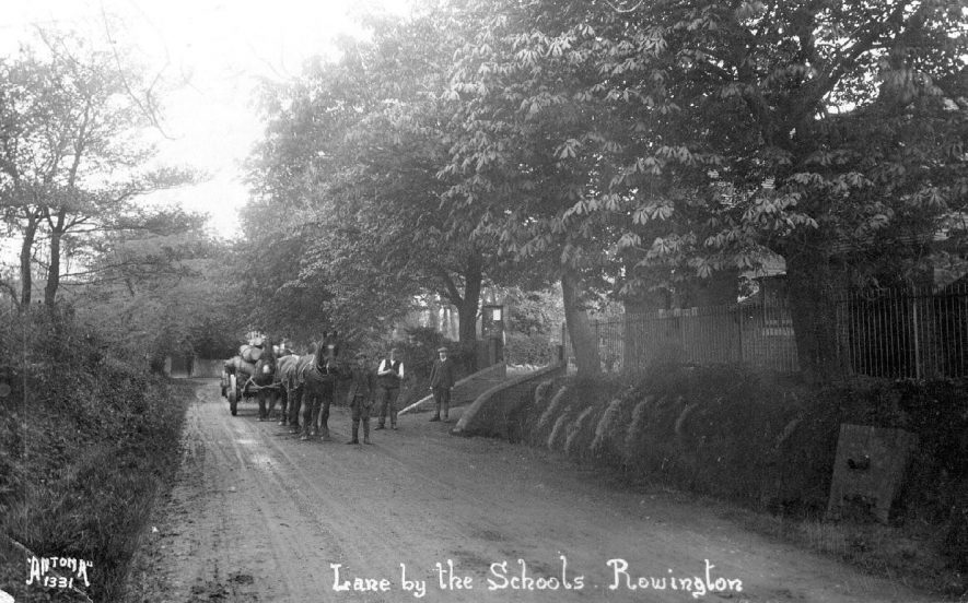 Horse drawn wagons carrying a load of tree trunks.  1900s |  IMAGE LOCATION: (Warwickshire County Record Office)