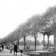 Rugby.  Recreation ground