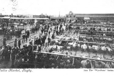 Rugby.  Cattle market