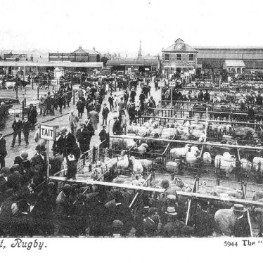 Rugby.  Cattle market