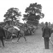 Rugby.  Prince of Wales playing polo