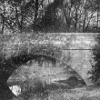 Rugby.  Old Canal Arm