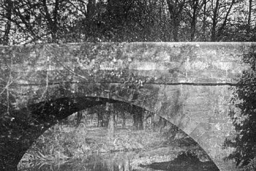 Rugby.  Old Canal Arm