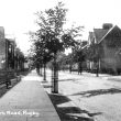 Rugby.  Park Road