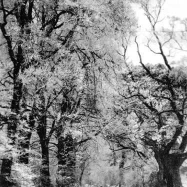 Stoneleigh.  Winter scene