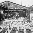 Stratford upon Avon.  Central auction mart