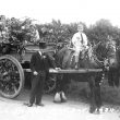 Luddington.  May Day, a decorated cart