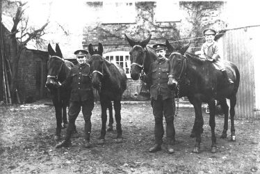 Long Itchington.  Soldiers with mules
