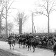 Warwickshire at War 1914-1918: Mars and Matrimony
