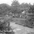 Shottery.  Silver Cock tea gardens