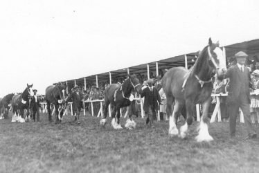 Studley.  Horse show