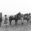 Studley.  Horse show
