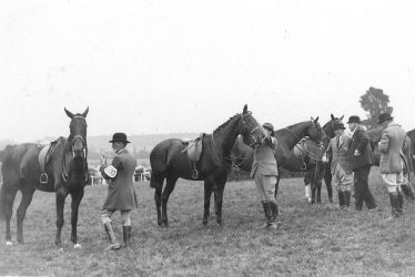 Studley.  Horse show