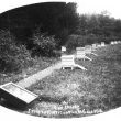 Studley.  Horticultural College for Women, the apiary