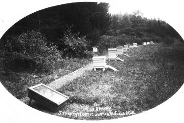 Studley.  Horticultural College for Women, the apiary