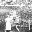 Studley.  Horticultural College for Women, grapehouse