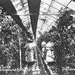 Studley.  Horticultural College for Women