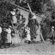 Studley.  Horticultural College for Women