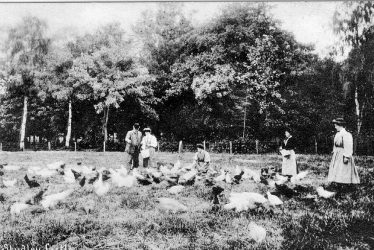 Studley.  Horticultural College for Women