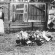 Studley.  Horticultural College for Women