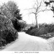 Tanworth in Arden.  Well Lane