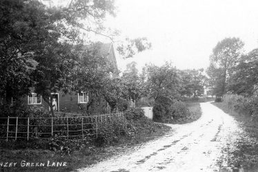 Tanworth in Arden.  Danzey Green Lane