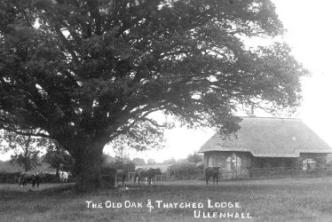 Ullenhall.  Old oak and thatched lodge