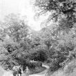 Warmington.  Church Lane